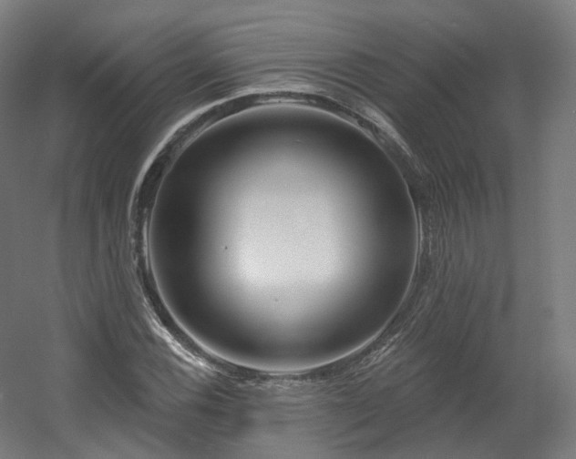 X0000060581116200511031329
