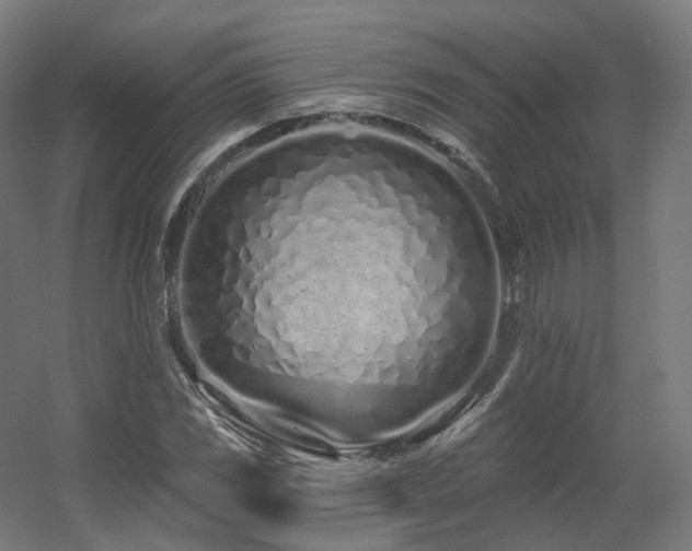 X0000060581117200511031329