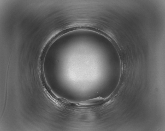 X0000060581119200511031329