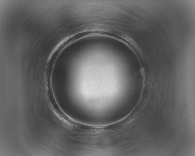 X0000060581120200511031329