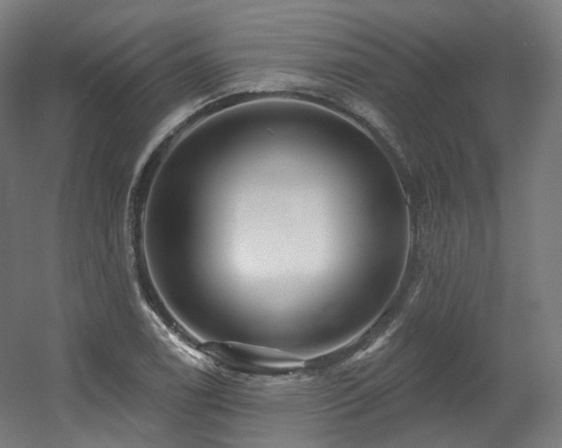 X0000060581122200511031329
