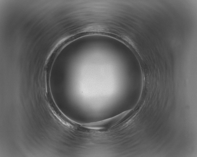 X0000060581123200511031329