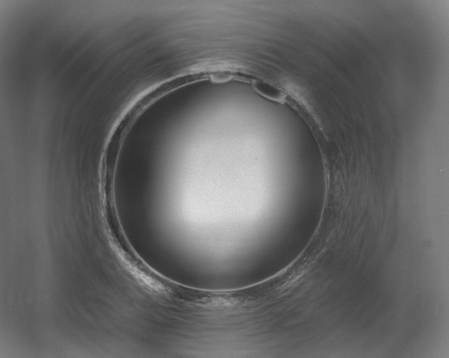X0000060581124200511031329