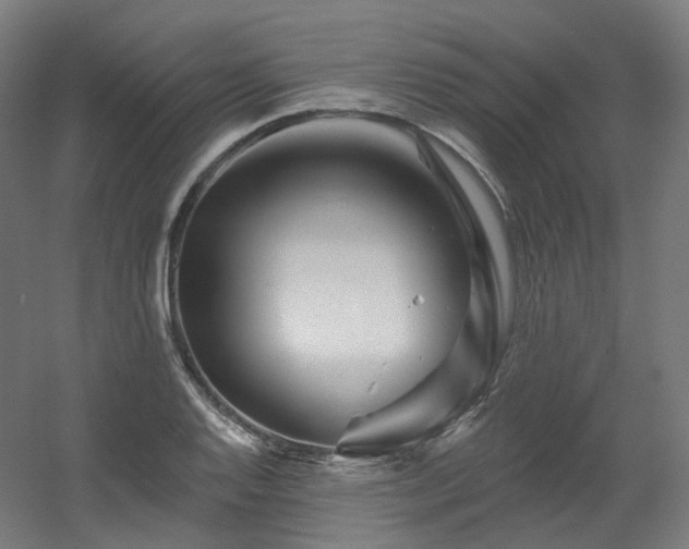 X0000060581128200511031329