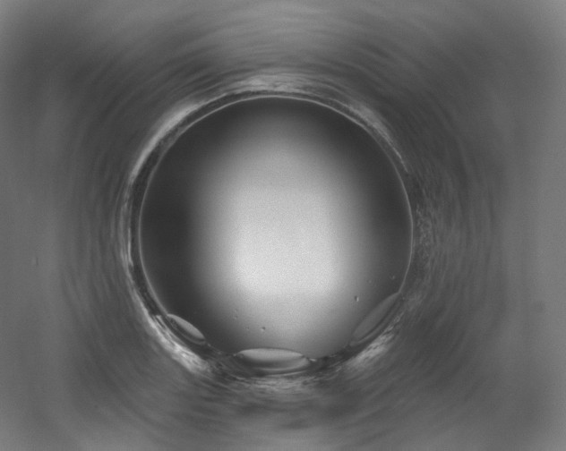 X0000060581131200511031329