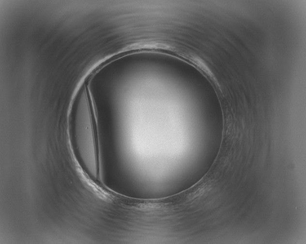 X0000060581132200511031329