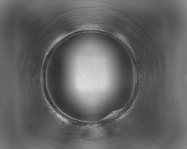 X0000060581133200511031329