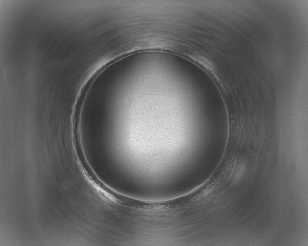 X0000060581135200511031329