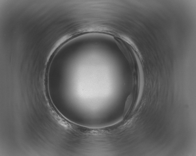 X0000060581138200511031329