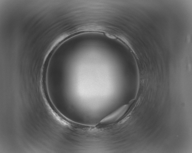 X0000060581139200511031329