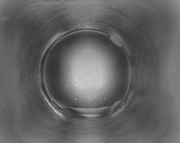 X0000060581141200511031329