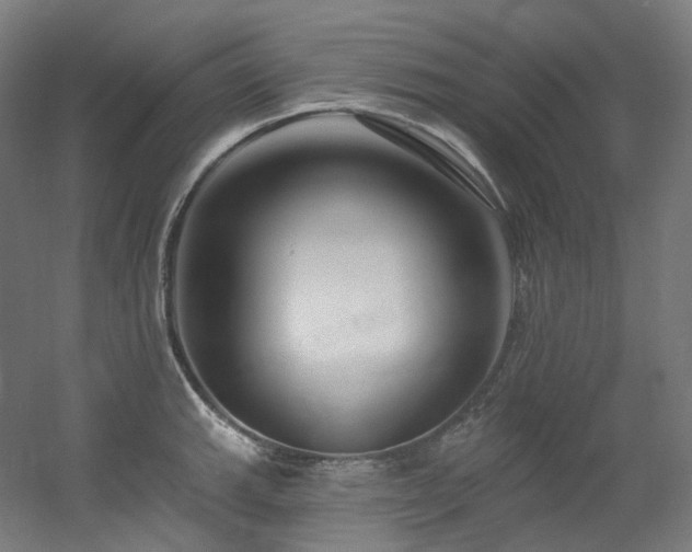 X0000060581143200511031329
