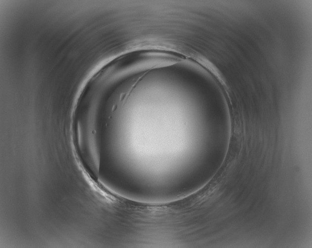 X0000060581144200511031329