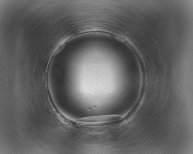 X0000060581145200511031329