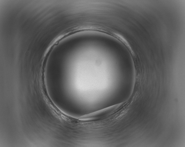 X0000060581146200511031329