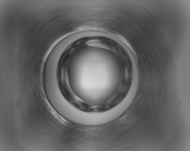 X0000060581148200511031329