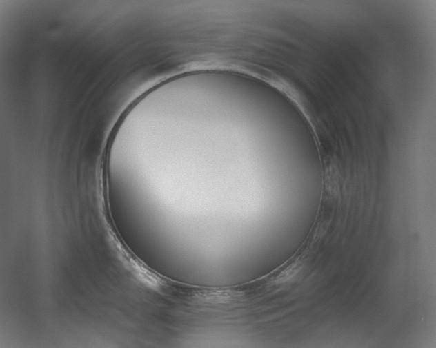 X0000060581150200511031329