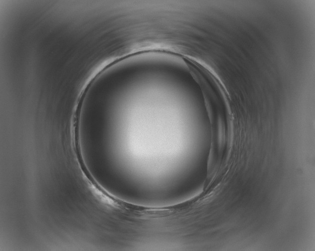 X0000060581151200511031329