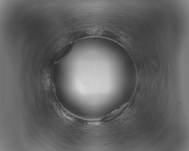 X0000060581154200511031328