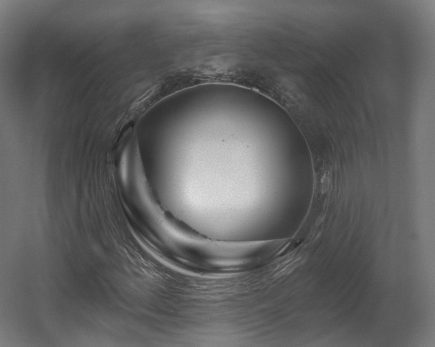 X0000060581156200511031328