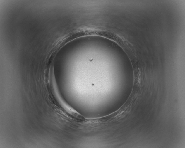 X0000060581157200511031328
