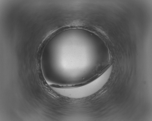 X0000060581160200511031328