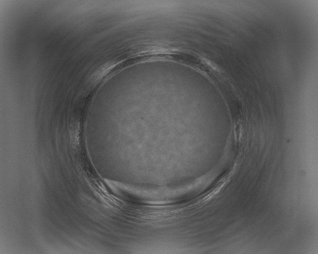 X0000060581161200511031328
