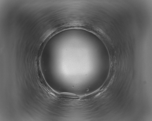 X0000060581162200511031328