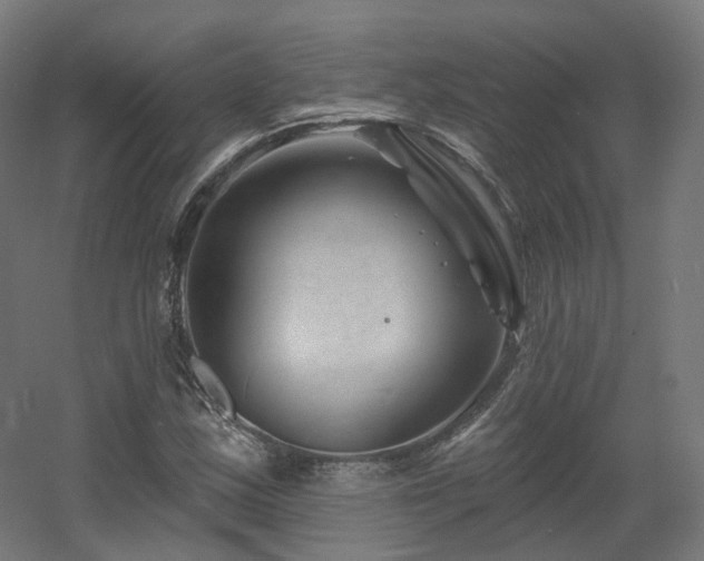 X0000060581163200511031328