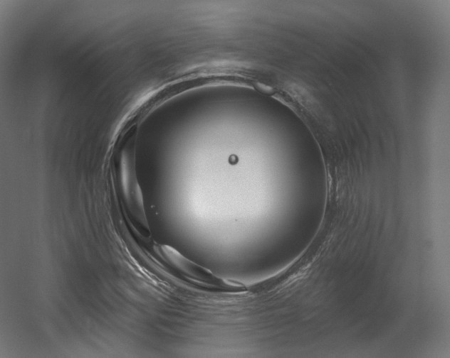 X0000060581164200511031328