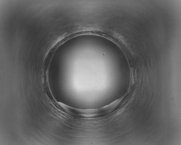 X0000060581165200511031328