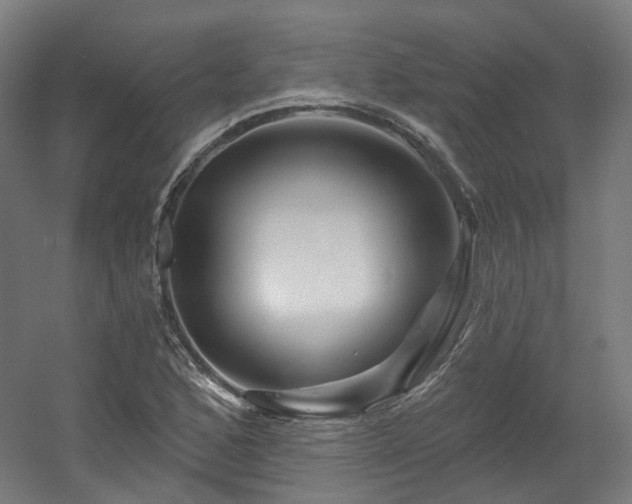 X0000060581168200511031328