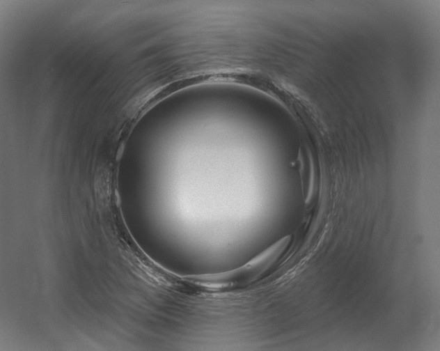 X0000060581169200511031328