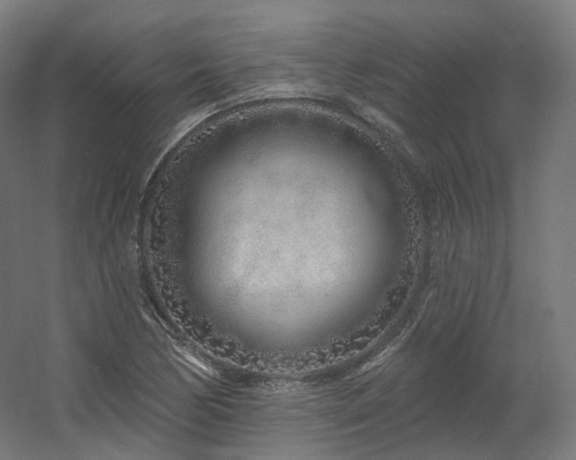 X0000060581170200511031328