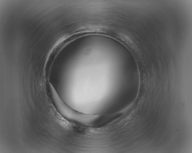X0000060581172200511031328