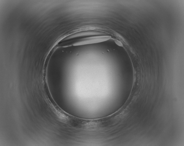 X0000060581178200511031328