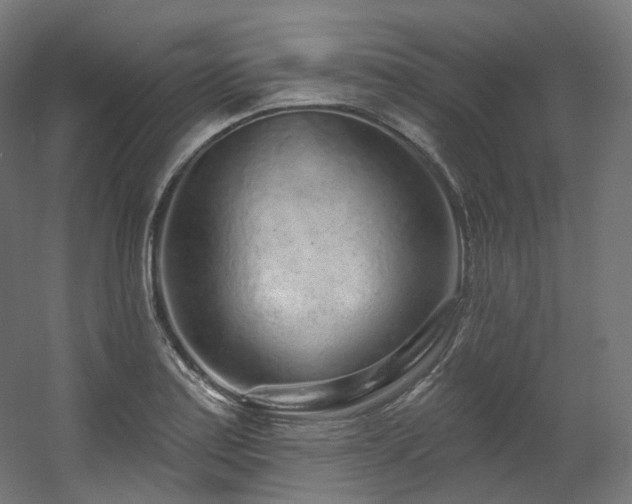 X0000060581179200511031328