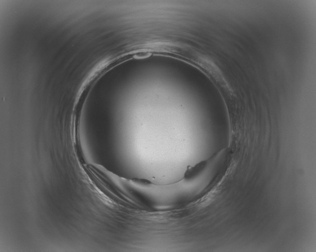 X0000060581180200511031328