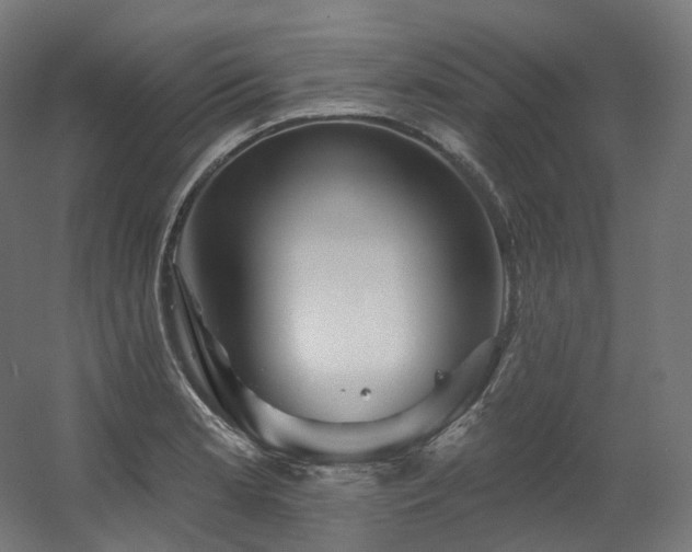 X0000060581181200511031328