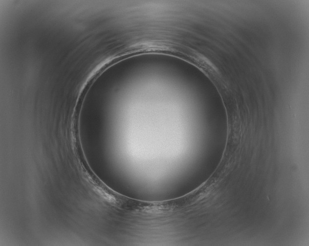 X0000060581182200511031328
