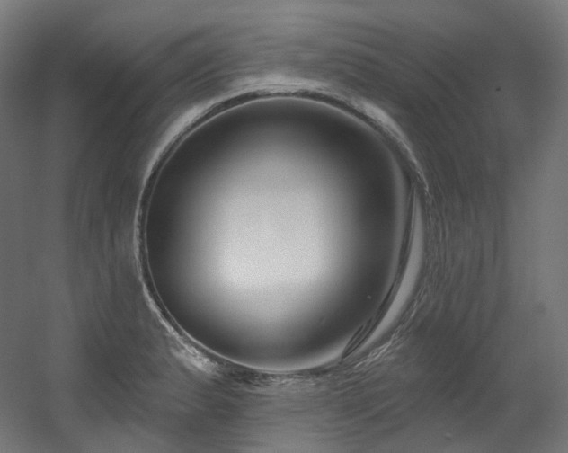 X0000060581183200511031328
