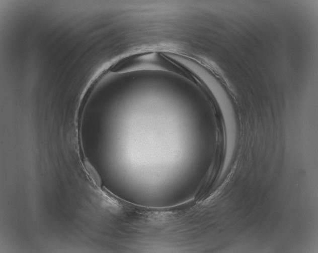 X0000060581184200511031328