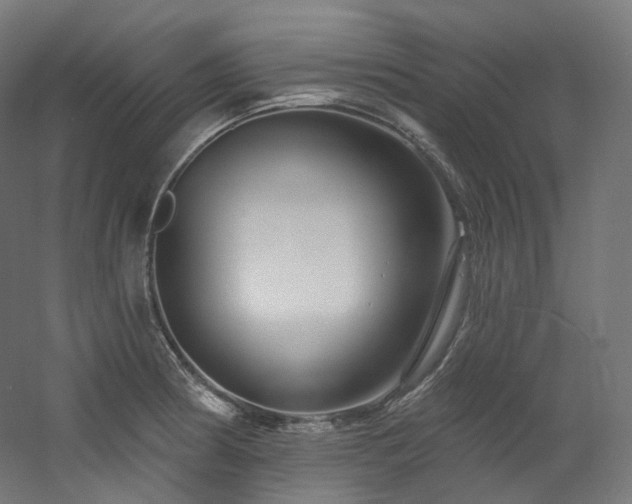 X0000060581186200511031328
