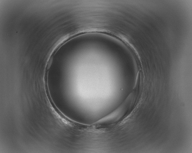 X0000060581189200511031328