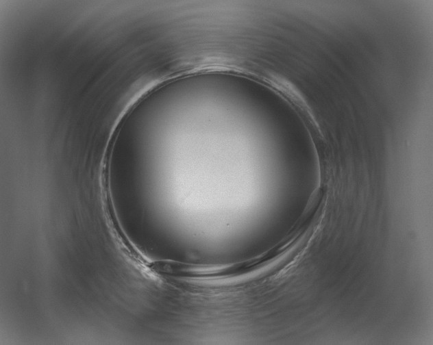 X0000060581190200511031328