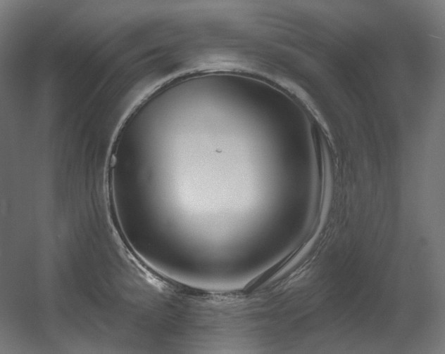 X0000060581191200511031328