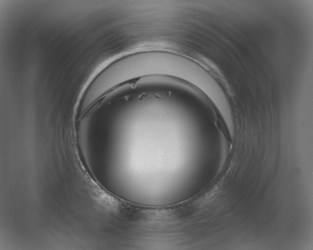 X0000060581192200511031328