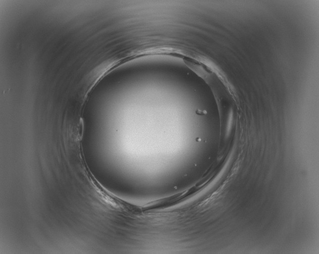X0000060581193200511031328