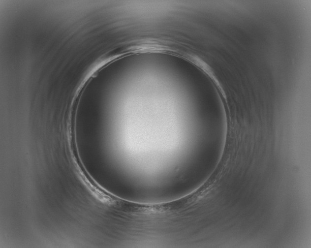 X0000060581195200511031328