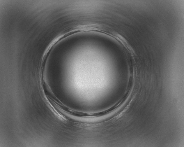 X0000060581196200511031328